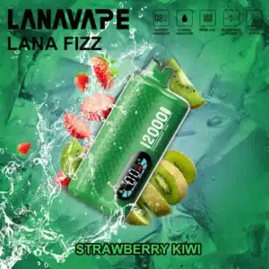 Fizz 12k Strawberry Kiwi